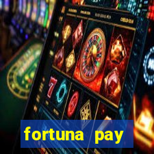 fortuna pay consultoria financeira ltda